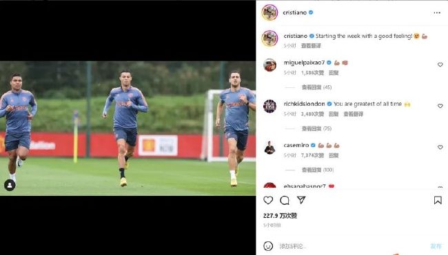 成版人app网站